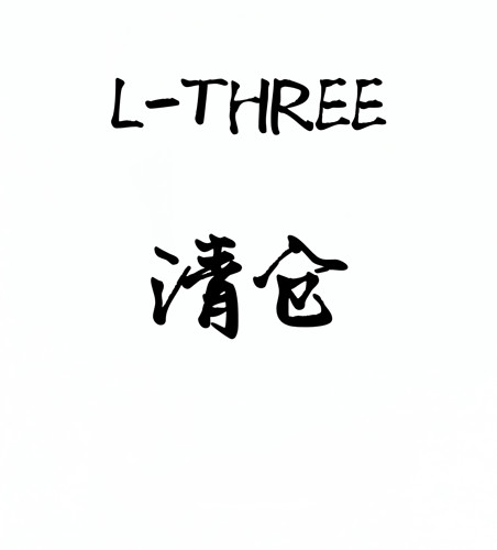 【甜馨直播间】L-THREE『三颗扣』不规则领口短袖T恤