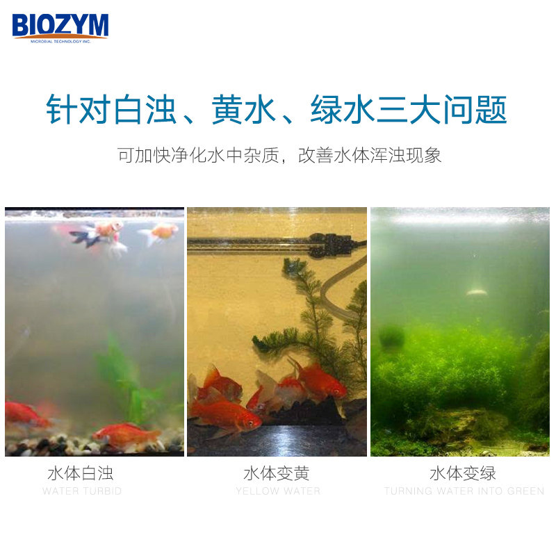 百因美硝化细菌锦鲤鱼池5L大桶水族硝化菌净水剂除藻剂水质稳定剂