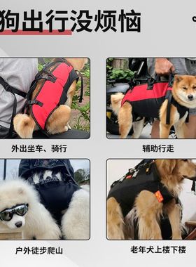 狗狗坐电动车外出神器大狗骑摩托宠物背包外出双肩便携包背带固定