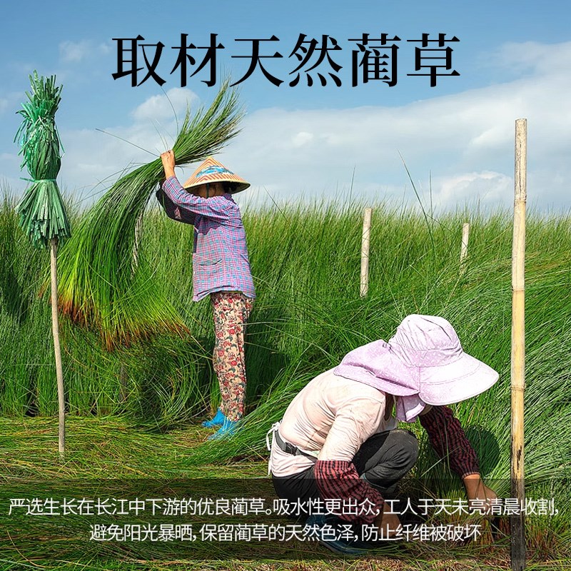 天然蔺草席凉席夏天2024新款夏季家用席子老式婴儿可用折叠床笠款
