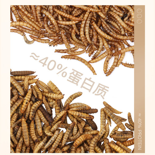 芦丁鸡鹦鹉八哥零食饲料鸟粮黑水虻面包虫干蔬菜干保健砂食物粮食