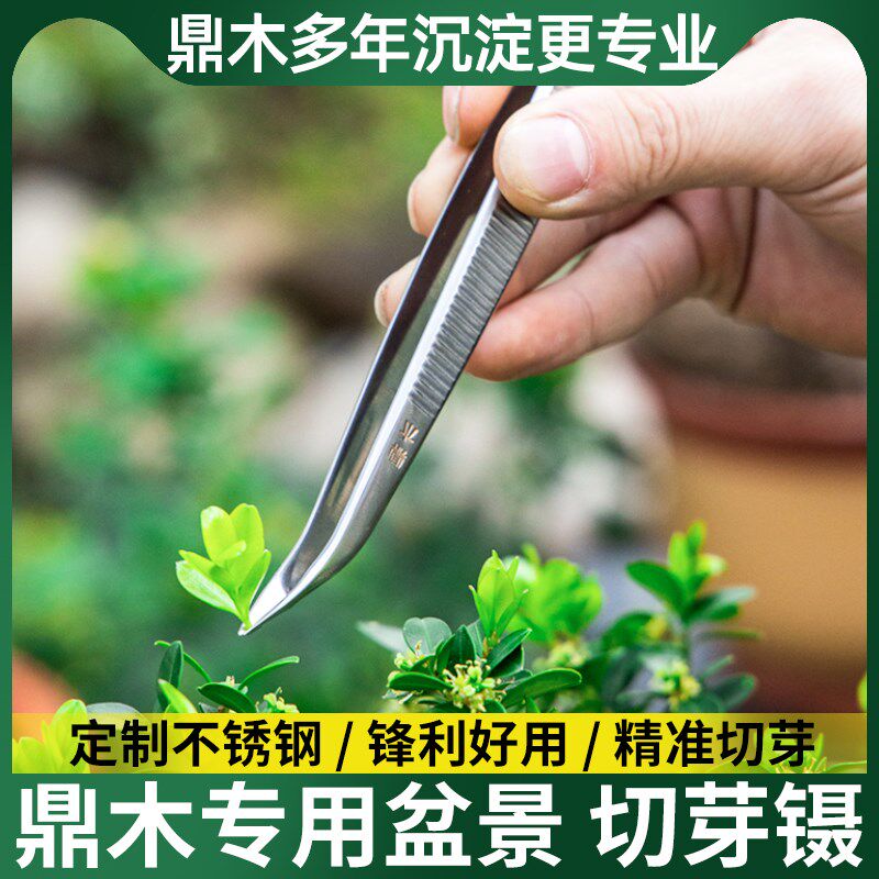 切芽镊芽剪摘芽盆景修剪造型专用工具叶芽剪不锈钢剪刀修芽剪芽切