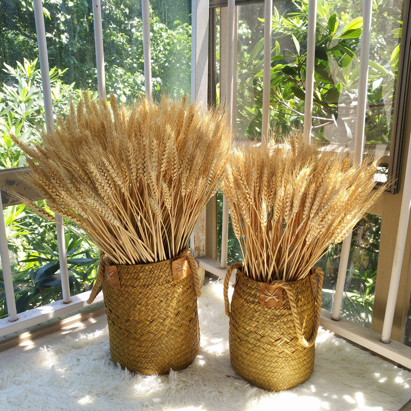 天然草编花篮花瓶器麦穗芦苇稻谷装饰摆件田园收纳筐复古干花套装
