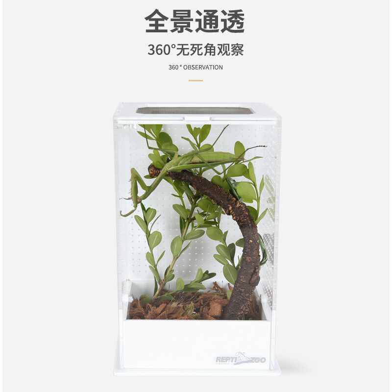 REPTIZOO亚克力饲养盒蟋蟀箱竹蛉昆虫盒螳螂罐蝈蝈笼子鸣虫生态盒