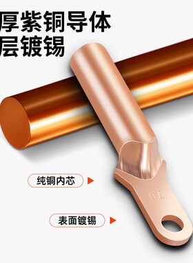 DT小头铜鼻子紫铜接头塑壳断路器接线端子25/35/50/70/95/120/150