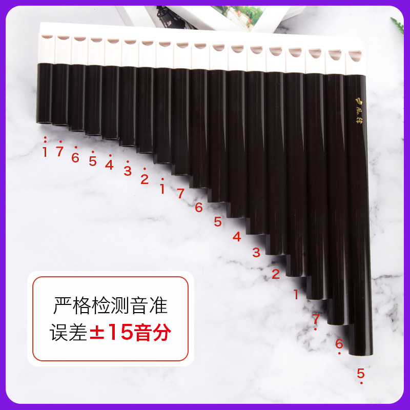 风律牌易学排笛16管18管学生教学专用排箫初学者入门C调排笛乐器