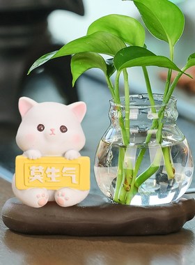 卡通呆萌莫生气小猫宠物绿植水培装饰品办公室氛围玄关布置小摆件