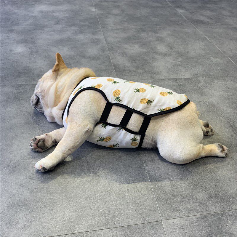 宠物狗狗背心法国斗牛犬夏天季薄款衣服中小型泰迪柯基八巴哥网红