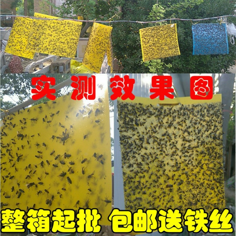 粘虫板诱虫板双面黄板蓝板覆纸膜黏虫板茶园大棚果蔬特效杀虫包邮
