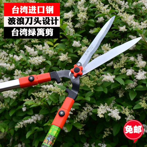 园艺工具绿篱剪草坪剪修枝剪花草剪刀园林绿化修枝剪花剪草大剪刀