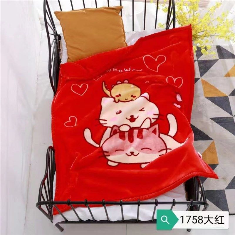 双层超柔法兰绒卡通婴儿童毯加厚四季通用幼儿园毛毯宝宝午睡盖毯