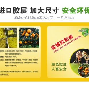实蝇胶粘板诱针蜂果实蝇粘虫板瓜果实蝇纸贴针蜂诱捕器瓜果园专用