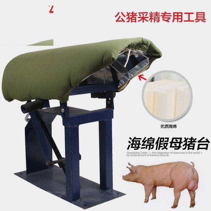 加重采精假母台猪用采精设备套装公猪采精架采精台猪人工授精设备