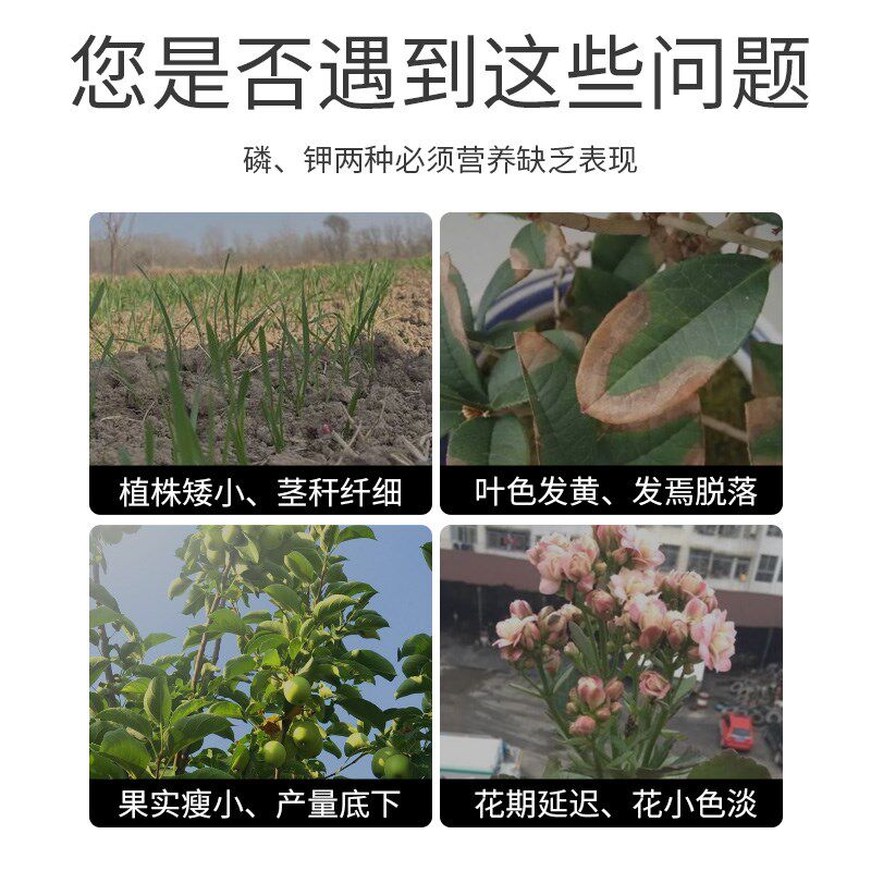 施可丰磷酸二氢钾水溶肥料桶装叶面肥磷钾肥农用花卉果树专用花肥