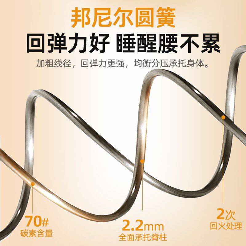 弹簧床垫席梦思床垫软垫家用弹簧椰棕护脊床垫22cm厚双人1.8米