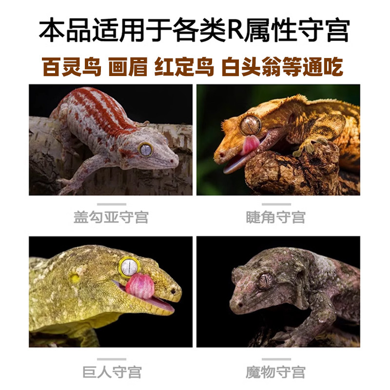 无菌地蜘蛛粉蟋蟀地栖画眉百灵红定鸟R属睫角守宫鬃狮乌龟食物粮