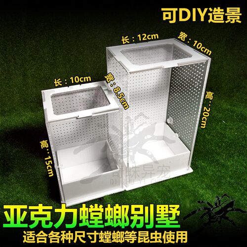 亚克力饲养盒蚂蚱昆虫盒螳螂罐蝈蝈笼子鸣虫生态盒蟋蟀箱