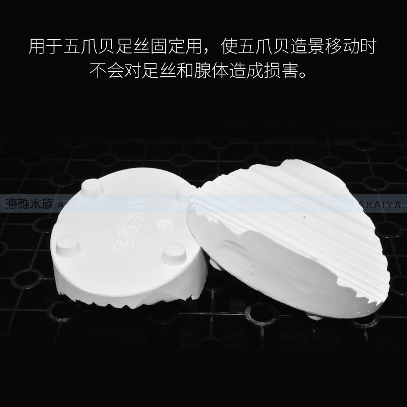 海雅水族海水鱼海水五爪贝断枝座纽扣基座珊瑚底座断肢支架陶瓷座