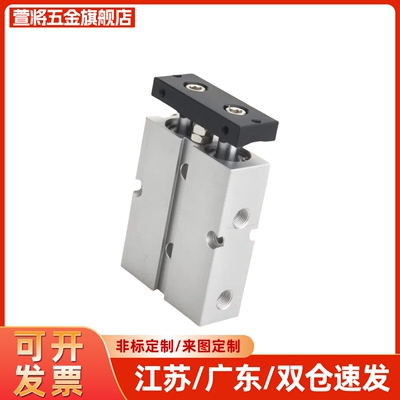 城羽双杆气缸TN10X60S TN16X70S TN20X80S TN25X75S TN32X100S