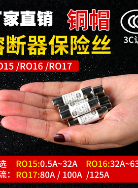 R015熔断器 RO15/16/17陶瓷保险丝管RT18 1A 2A 3A 5A 6A 10A 32A