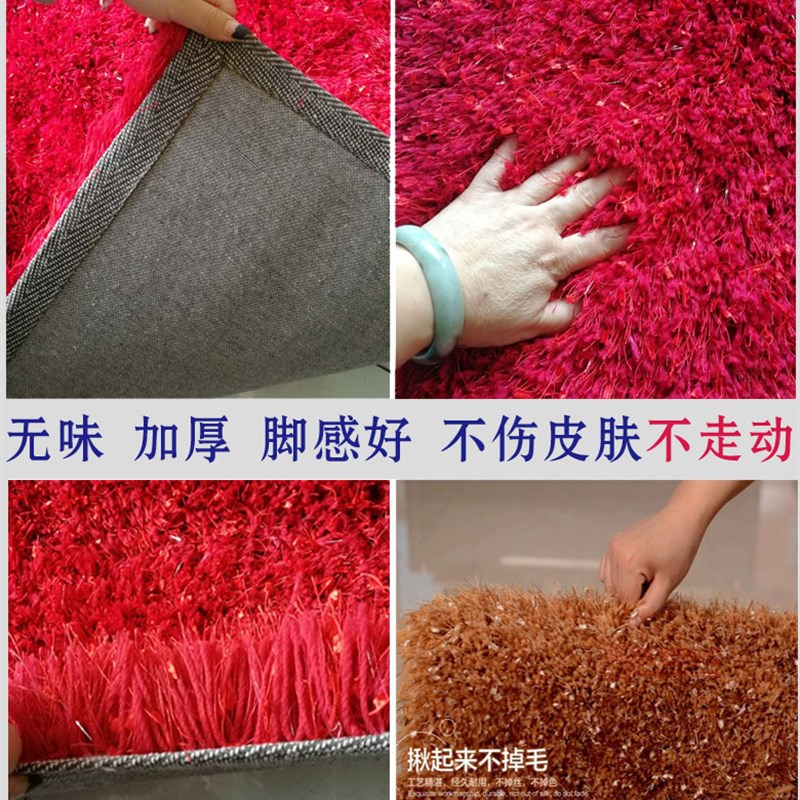 长毛弹力丝客厅卧室加厚加丝地毯茶几床边飘窗满铺定制地毯免洗