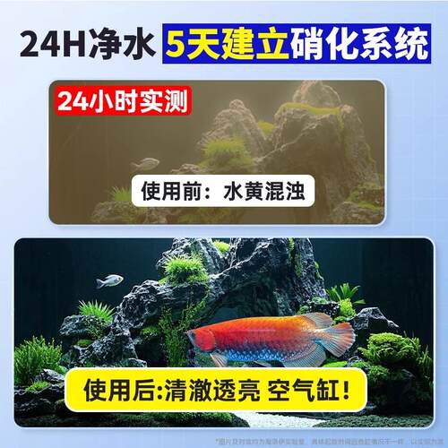 硝化细菌鱼缸专用净水剂养鱼净化水质稳定剂分解鱼粪消化活菌液