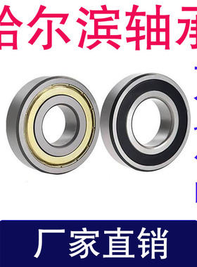 进口品质哈尔滨轴承6300/301/302/303/304/305/306/307rs zz 高速