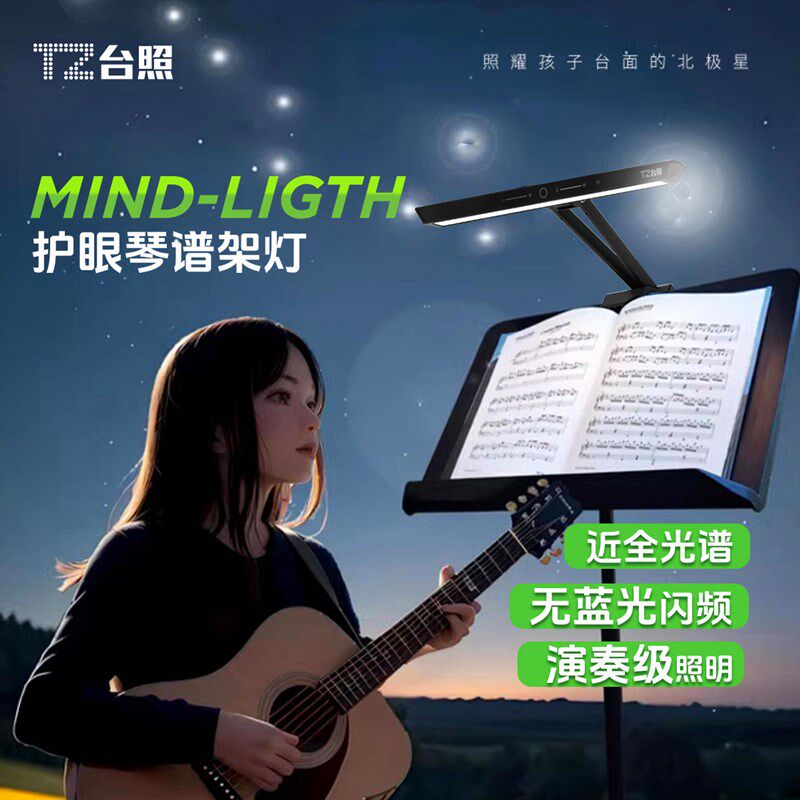 台照乐谱灯练琴专用护眼灯充插两用小提琴古筝吉他演奏乐谱架夹灯