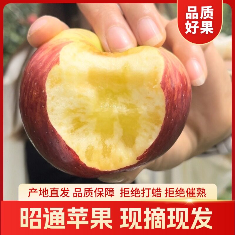 云南昭通冰糖心丑苹果5斤包邮
