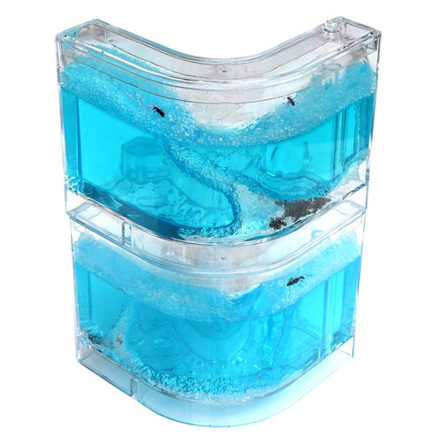 双层蚂蚁庄园蚂蚁工坊生态沙巢别墅蚂蚁生态箱农场送蚁后玩具礼物