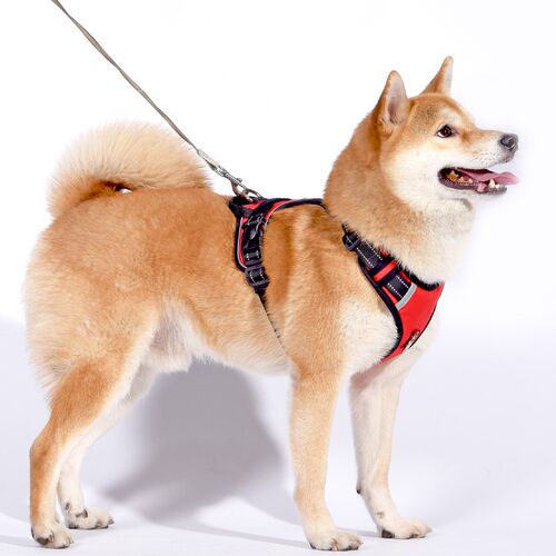 柴犬牵引绳背心式中大型犬防爆冲胸背带边牧金毛大狗遛狗绳狗链子