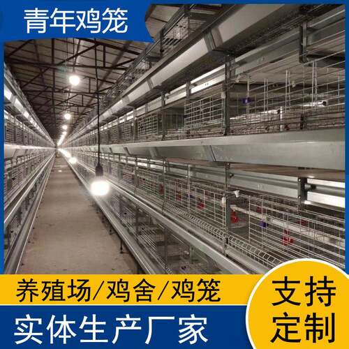 自动化层叠青年鸡鸡笼立式养殖设备养殖场用鸽子笼鹌鹑笼厂家