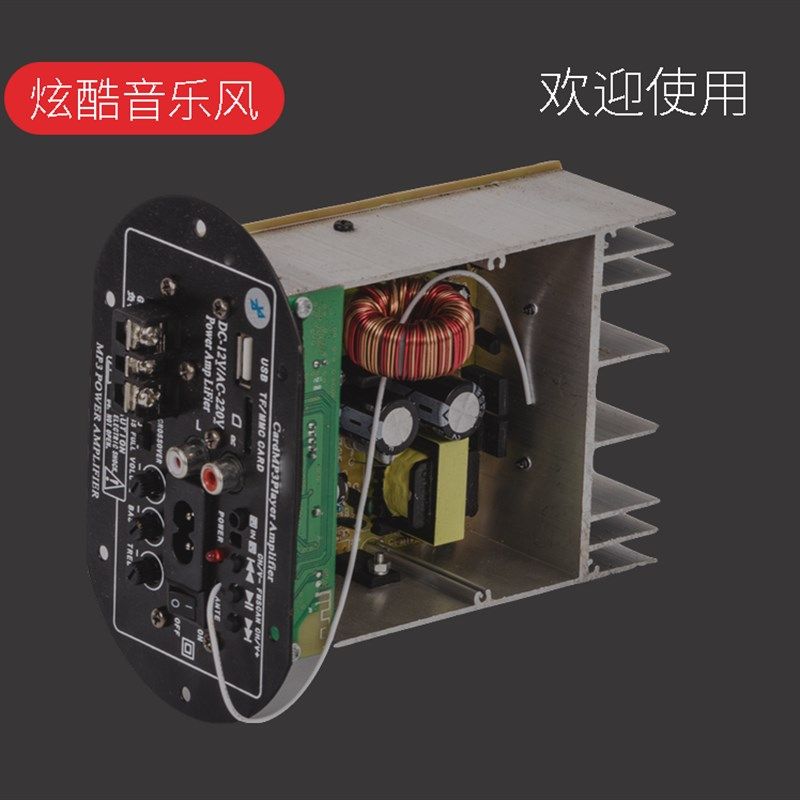 12V220F大功率汽车车载插卡低音炮蓝牙功放板12寸音响功放主板DIY