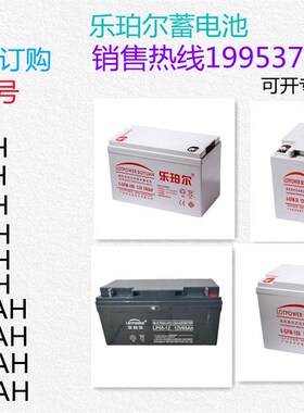 乐珀尔蓄电池LP/6-GFM-12V100AH65A55A40A38A24A20A17A7A直流屏用