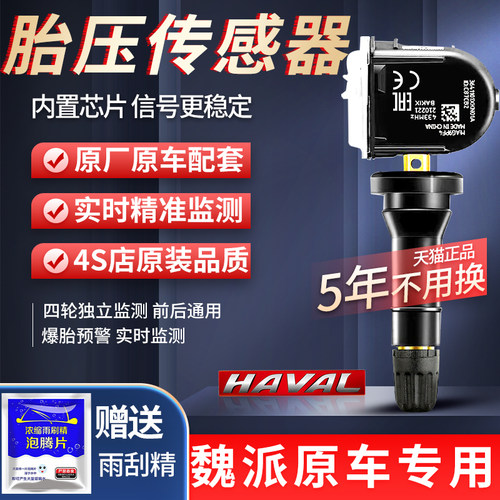 长城炮魏派VV56/VV7/P8坦克300欧拉R1好黑白猫胎压监测传感器电池
