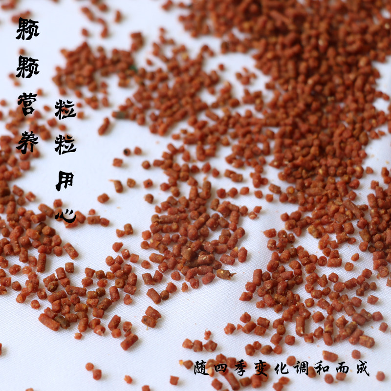 红蓝脖靛颏靛壳通用鸟食精品四季营养包邮500克装效果明显田园鸟