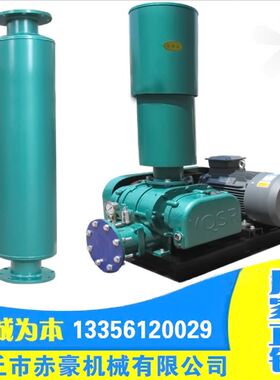 章丘罗茨风机TSR200-30kw,37kw,45kw,55kw,75kw,90kw三叶型鼓风机