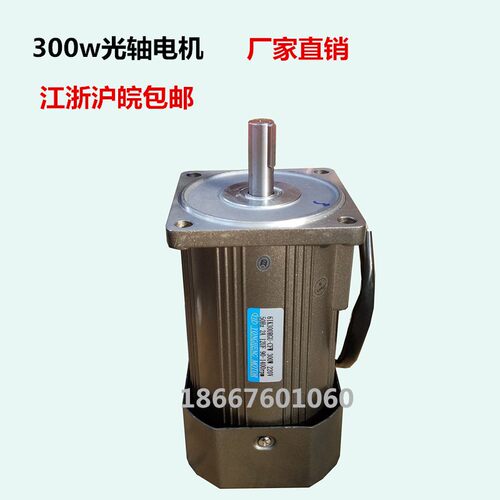 光轴电机300W220V380V交流调速减速定速电动机250w370W纯铜立式