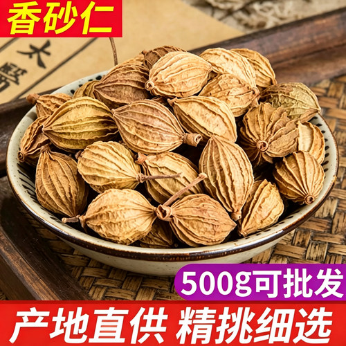 香砂仁川砂仁炖肉卤菜调料