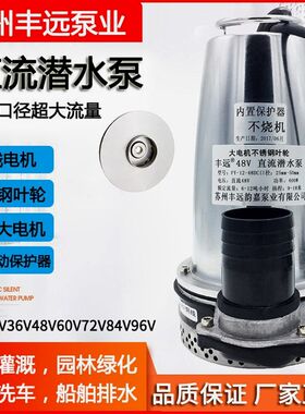 德国进口丰远直流12V24V36V48V60V72V84V96电动车潜水泵农田灌溉