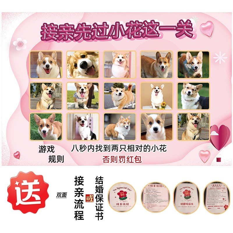 接亲游戏KT板找宠物小狗猫咪定制婚礼结婚整蛊新郎伴郎堵门道具