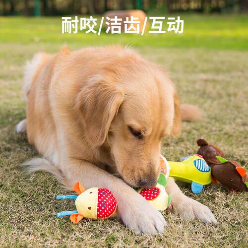 狗狗毛绒发声玩具磨牙耐咬解闷神器泰迪柯基比熊金毛狗子宠物用品