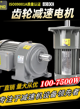 台松齿轮减速电机立卧式200W 400W 750W 1.5KW变频调速小金刚