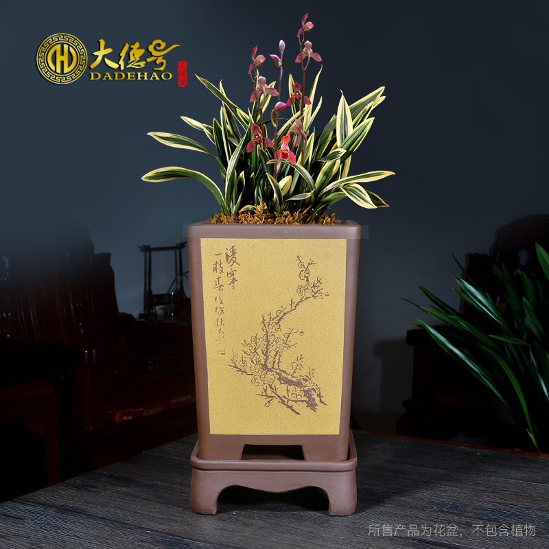 宜兴紫砂君子兰四方陶瓷花盆透气带底座兰花蓝草专用绿植盆景花盆