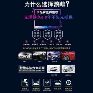 鹦鹉清漆335汽车漆光油透明固化剂快干447全车专用油漆巴斯夫涂料