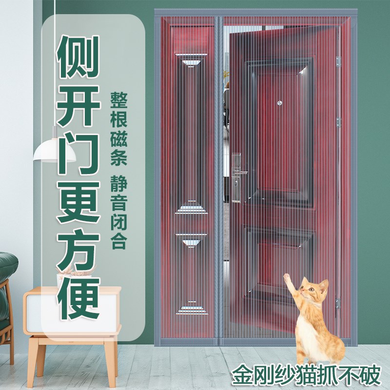 门口防盗门防蚊门帘侧开入户门纱帘子母门防蚊子沙门网磁铁宿舍F