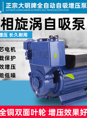 大明家用增压泵旋涡式井用自吸水泵楼增加压泵220V河流抽水机单相