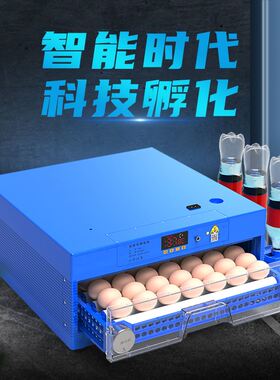 维谦孵化机全自动家用智能孵化器小型迷你孵化箱芦丁鸡小鸟孵蛋器