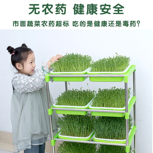 豆芽发芽盆无土栽培水培蔬菜设备豌豆芽苗菜育苗托盘种植芽菜豆苗