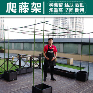 特大加粗阳台葡萄架丝瓜黄瓜爬藤架种植架种植箱爬藤杆花架支架网